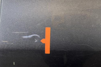 Porte arriere gauche TOYOTA YARIS 2