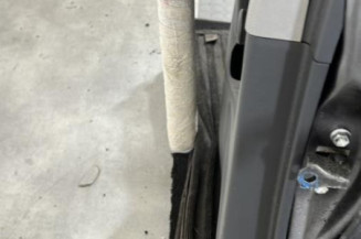 Porte arriere gauche TOYOTA YARIS 2