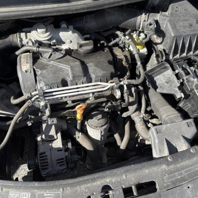 Porte avant droit SKODA FABIA 2 Photo n°14