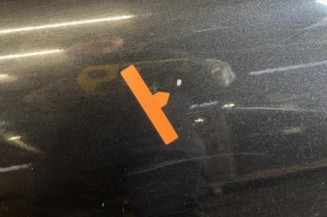 Porte avant gauche MINI MINI 1 R50/R53