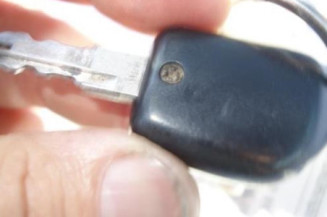 Porte avant gauche PEUGEOT 106