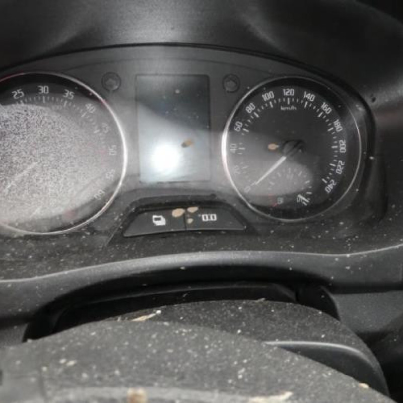 Porte arriere droit SKODA ROOMSTER Photo n°3