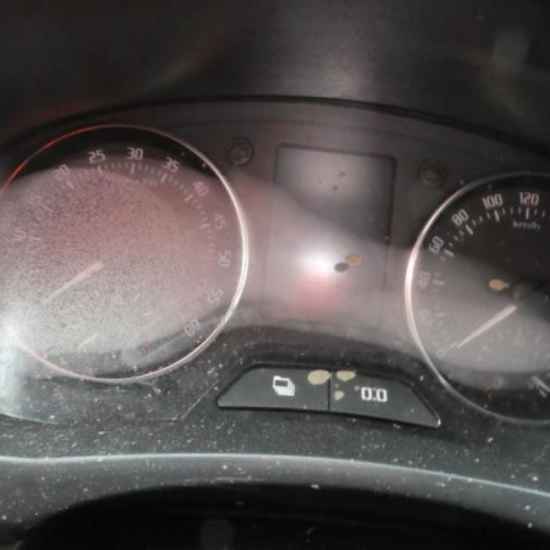 Porte arriere droit SKODA ROOMSTER Photo n°4