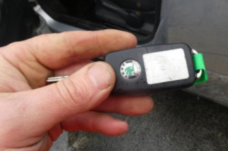 Porte arriere droit SKODA ROOMSTER