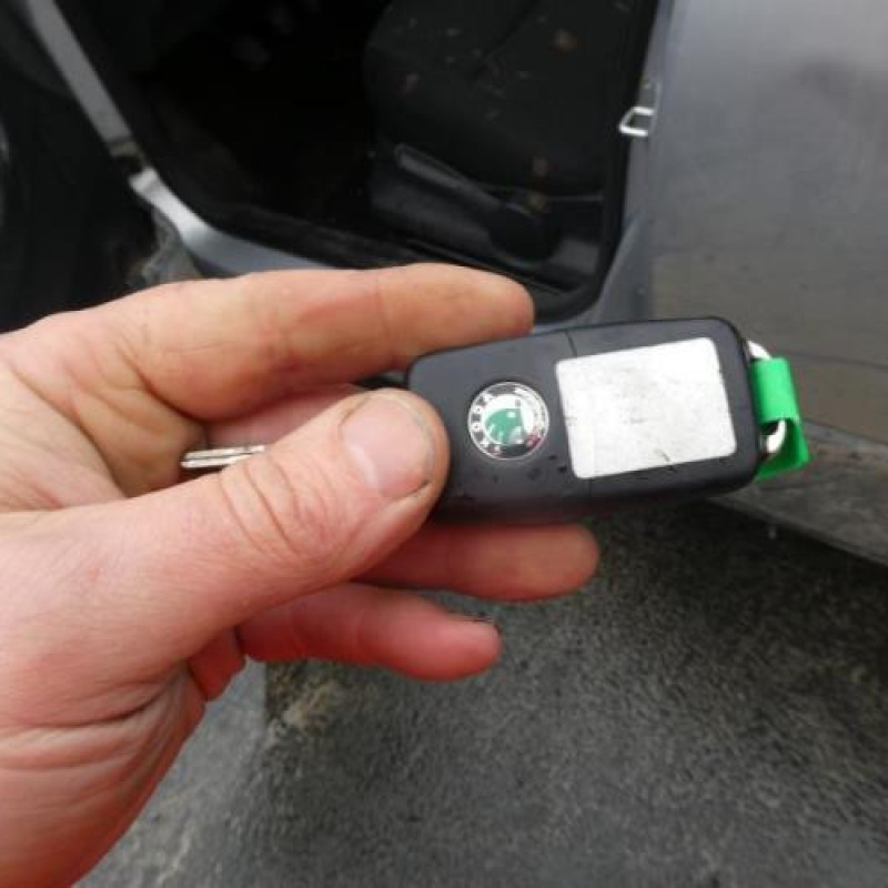 Porte arriere droit SKODA ROOMSTER Photo n°9