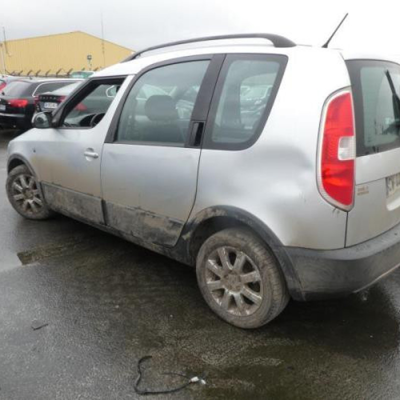 Porte arriere droit SKODA ROOMSTER Photo n°12