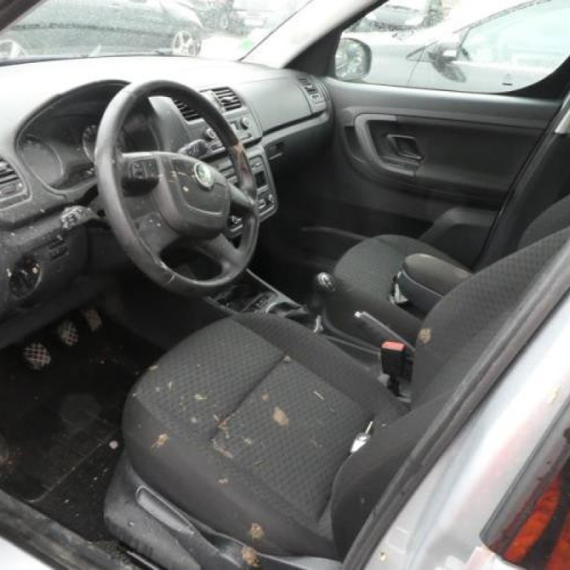 Porte arriere droit SKODA ROOMSTER Photo n°13