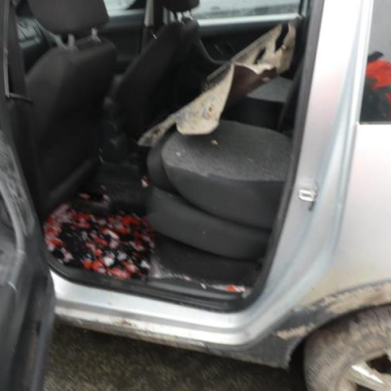 Porte arriere droit SKODA ROOMSTER Photo n°14