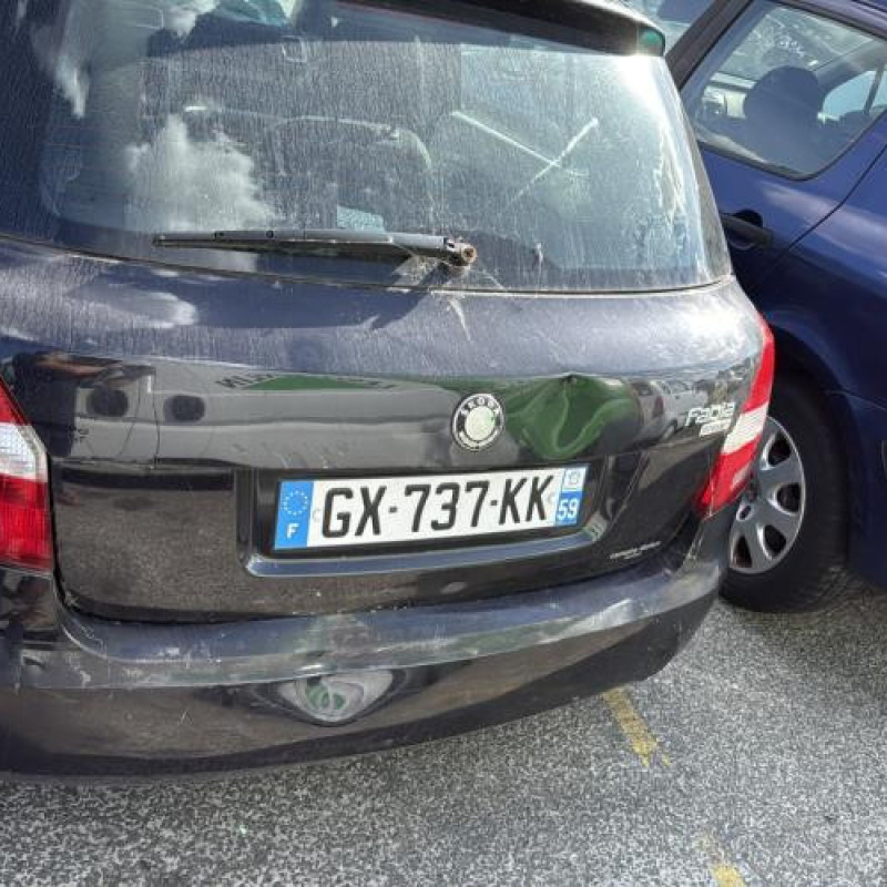 Vitre avant gauche SKODA FABIA 2 Photo n°9