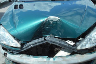 Retroviseur gauche PEUGEOT 206