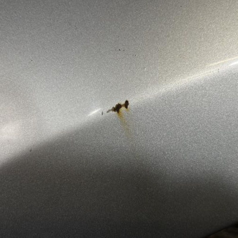 Aile avant gauche PEUGEOT 207 Photo n°3