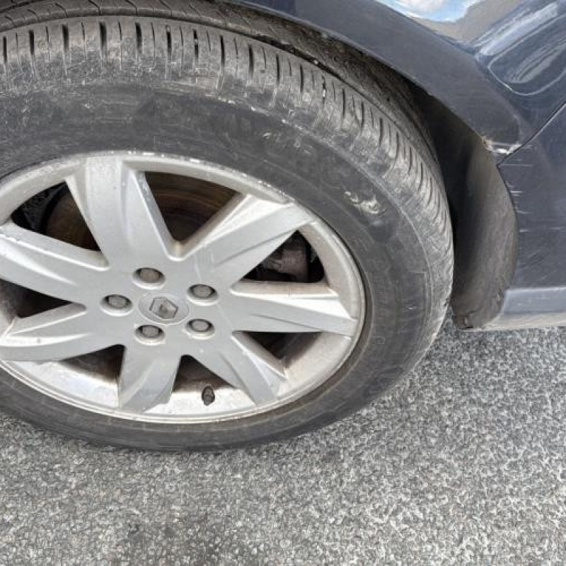 Calandre RENAULT VEL SATIS Photo n°18