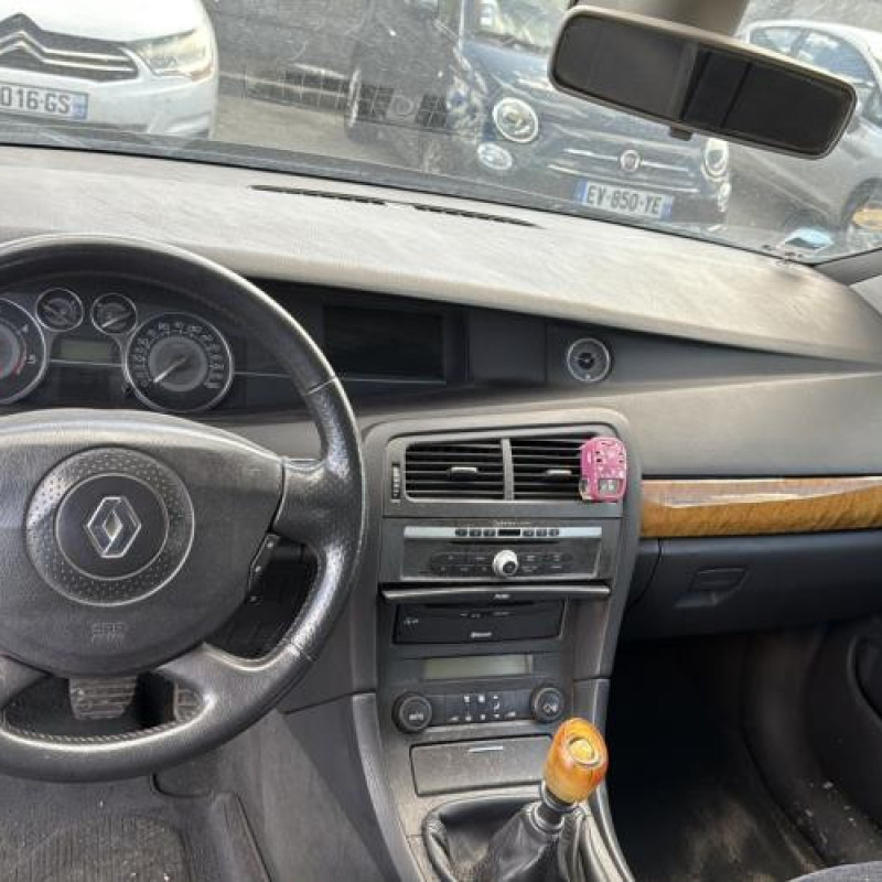 Calandre RENAULT VEL SATIS Photo n°20