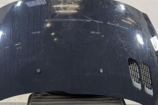 Capot PEUGEOT 206+ Photo n°1