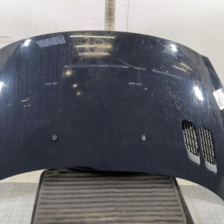 Capot PEUGEOT 206+ Photo n°1