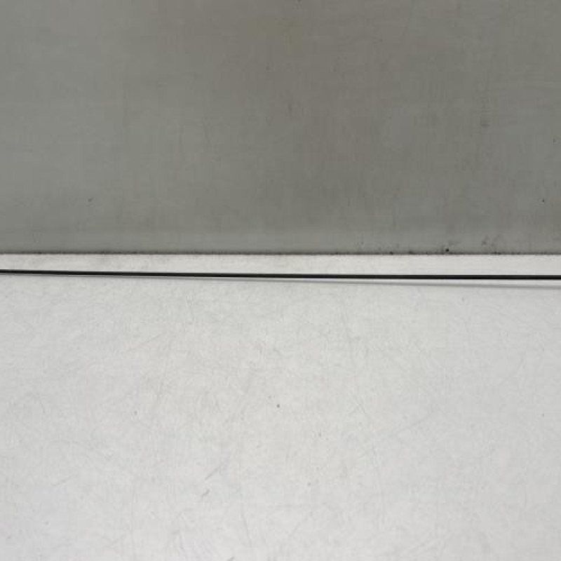 Antenne DACIA LOGAN 1 Photo n°1