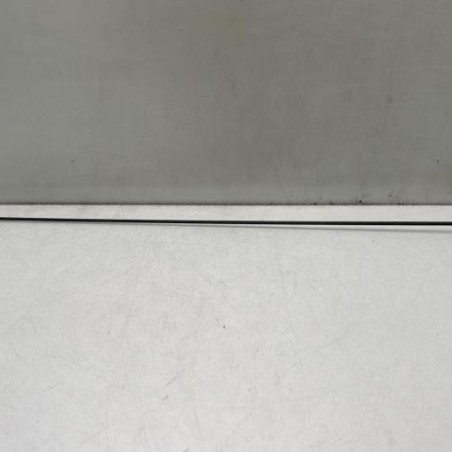 Antenne DACIA LOGAN 1 Photo n°1