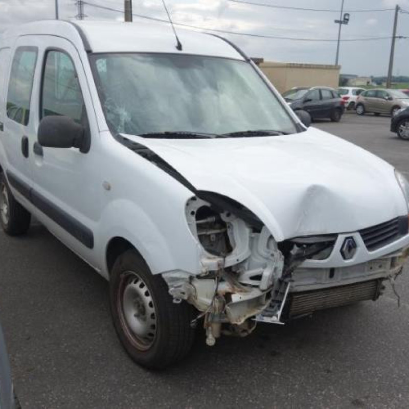 Porte avant droit RENAULT KANGOO 1 Photo n°5