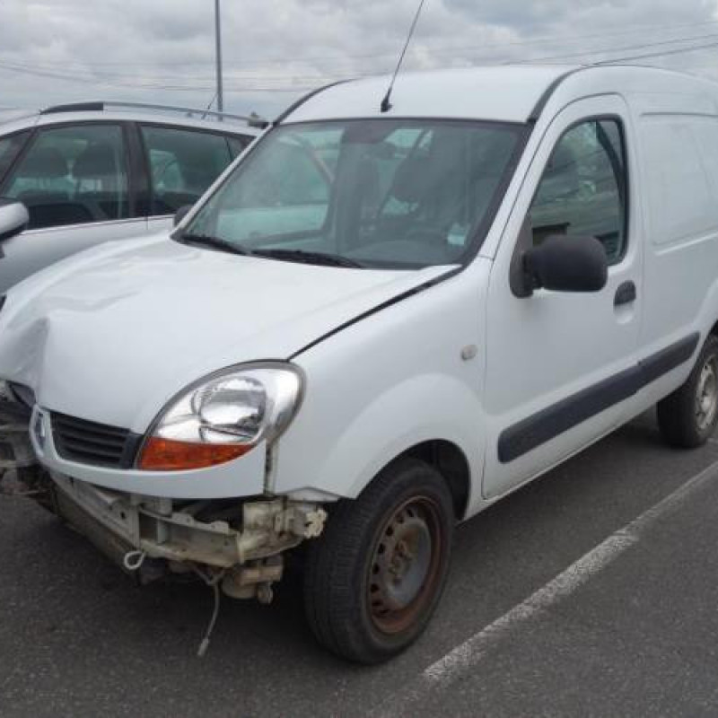Porte avant droit RENAULT KANGOO 1 Photo n°9