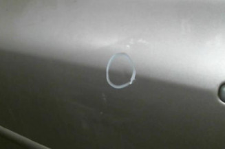 Porte avant gauche PEUGEOT 307