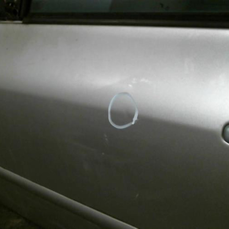 Porte avant gauche PEUGEOT 307 Photo n°2