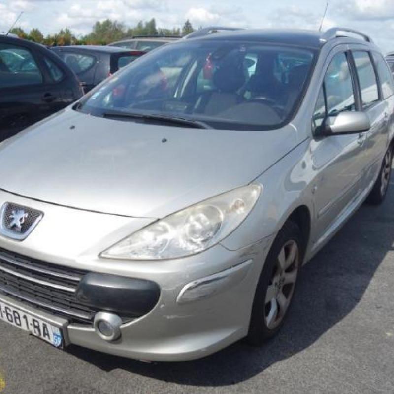 Porte avant gauche PEUGEOT 307 Photo n°4