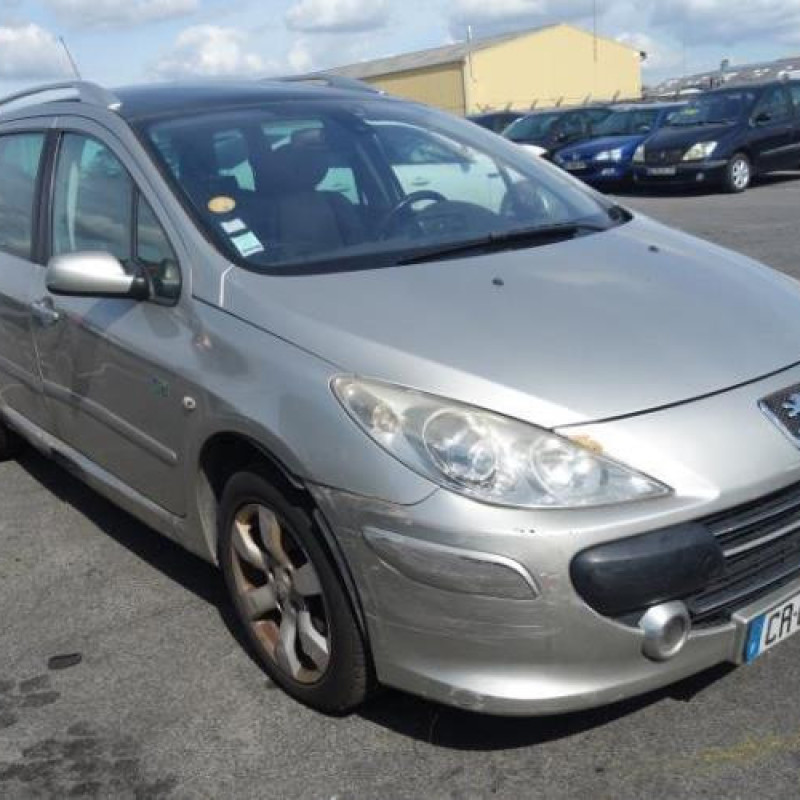 Porte avant gauche PEUGEOT 307 Photo n°9