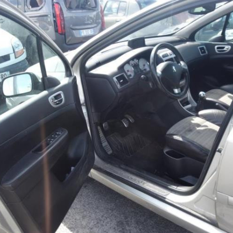 Porte avant gauche PEUGEOT 307 Photo n°13