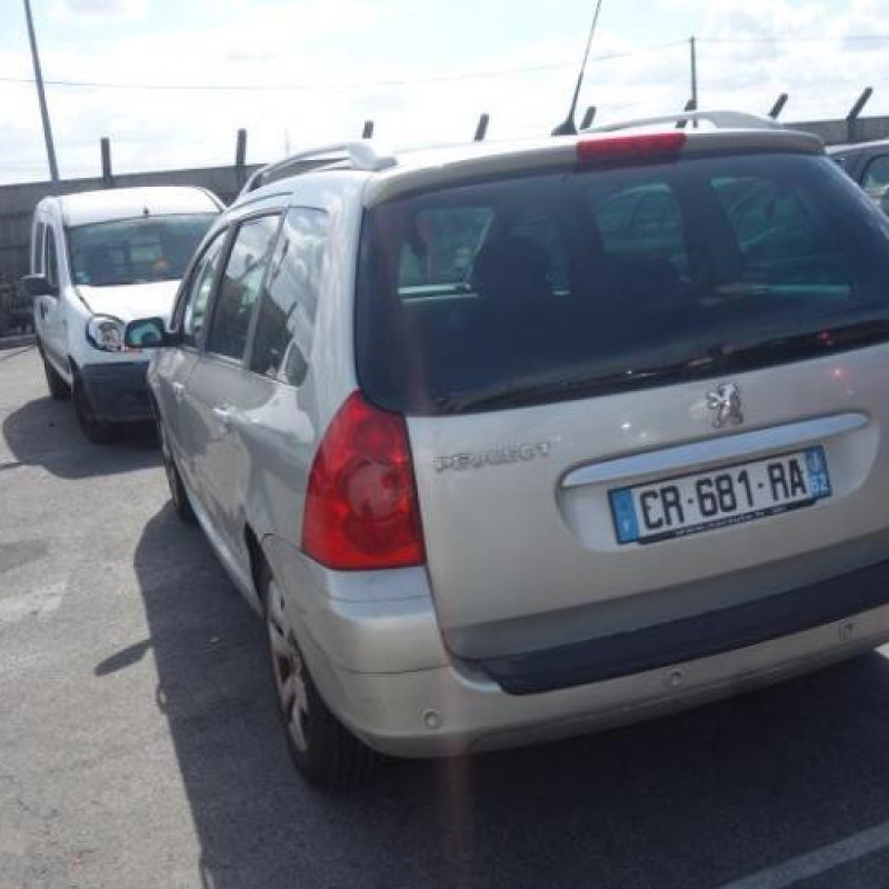 Porte avant gauche PEUGEOT 307 Photo n°16