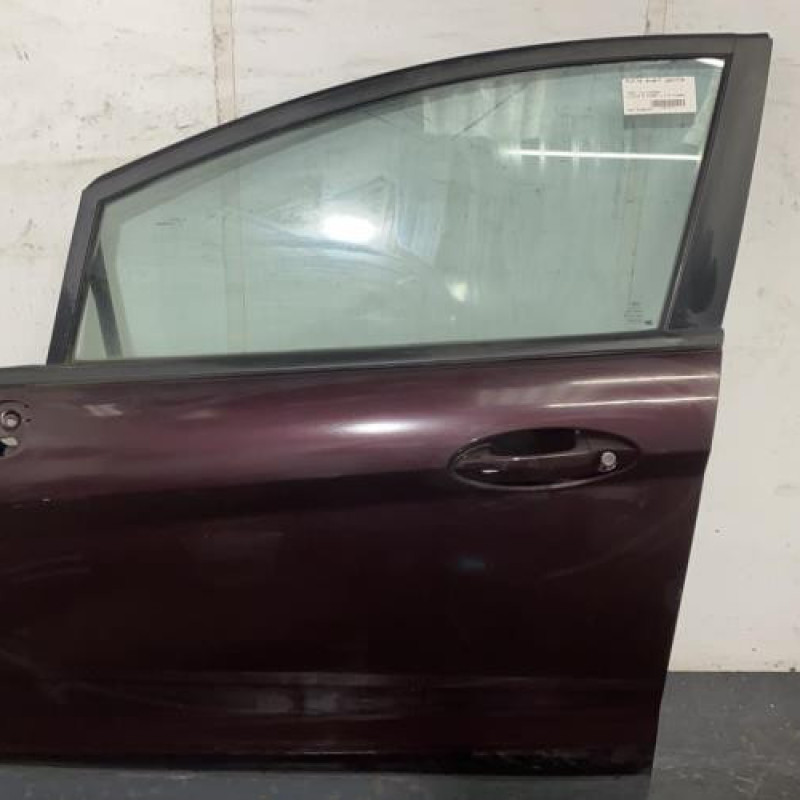 Porte avant gauche FORD FIESTA 6 Photo n°2