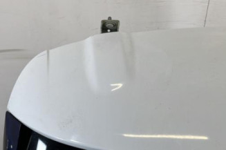 Malle/Hayon arriere RENAULT CLIO 4