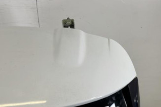 Malle/Hayon arriere RENAULT CLIO 4