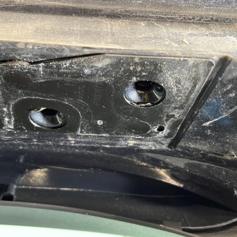 Malle/Hayon arriere RENAULT VEL SATIS Photo n°8