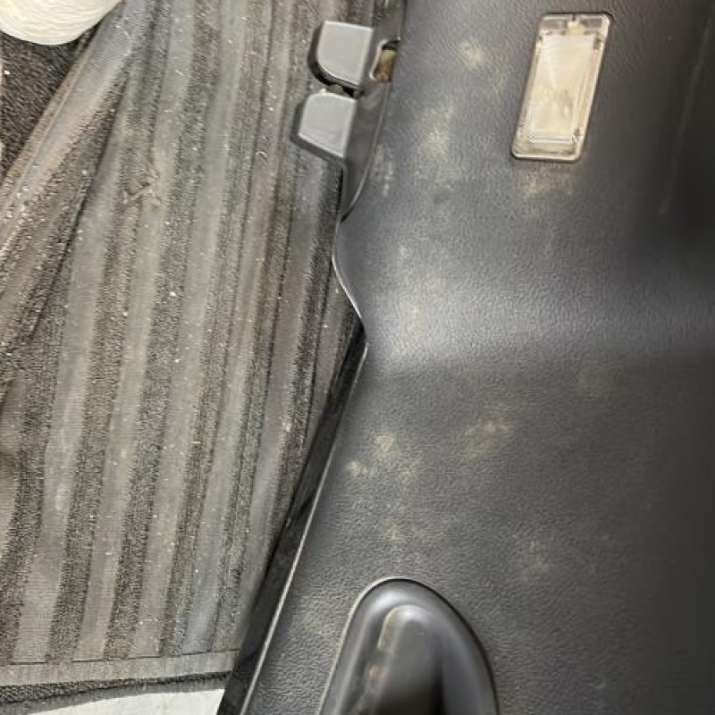 Malle/Hayon arriere RENAULT VEL SATIS Photo n°10