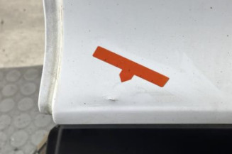 Porte arriere gauche RENAULT CLIO 4