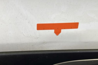 Porte arriere gauche RENAULT CLIO 4