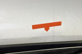 Porte arriere gauche RENAULT CLIO 4