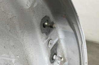 Porte arriere gauche RENAULT CLIO 4