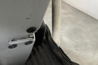 Porte arriere gauche RENAULT LAGUNA 3