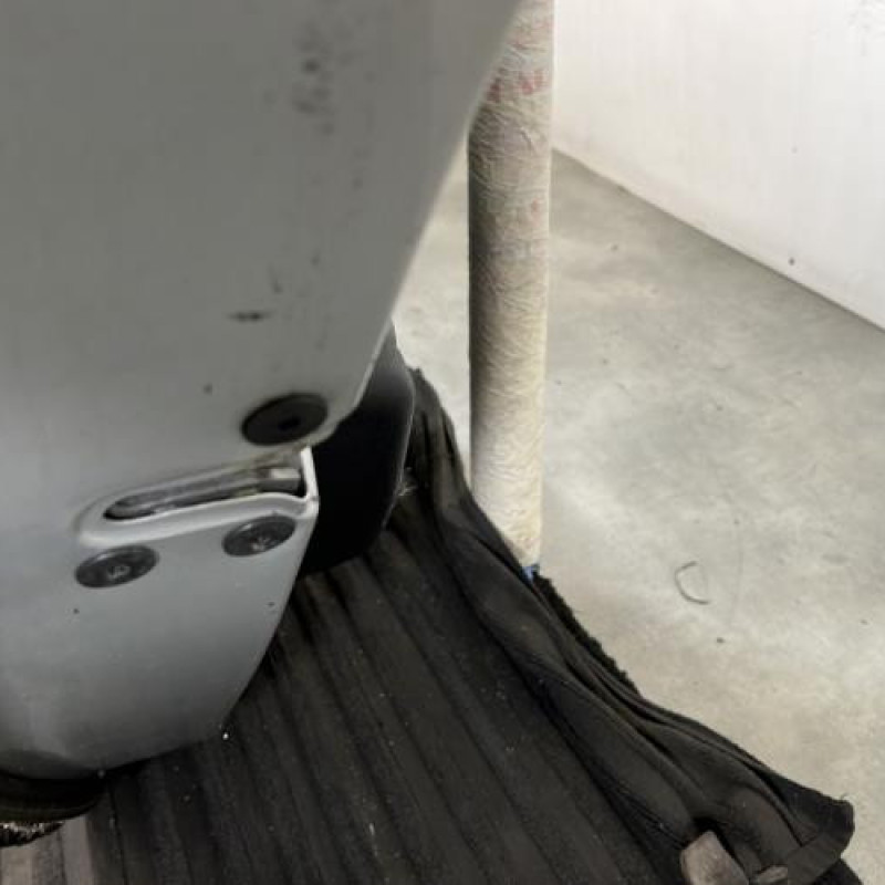 Porte arriere gauche RENAULT LAGUNA 3 Photo n°3