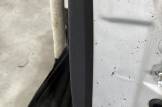 Porte arriere gauche RENAULT LAGUNA 3