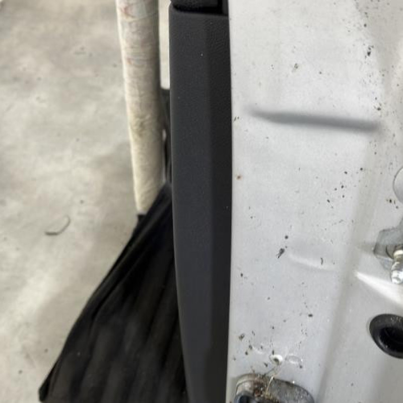 Porte arriere gauche RENAULT LAGUNA 3 Photo n°4