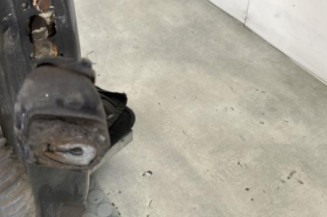 Porte avant droit RENAULT VEL SATIS