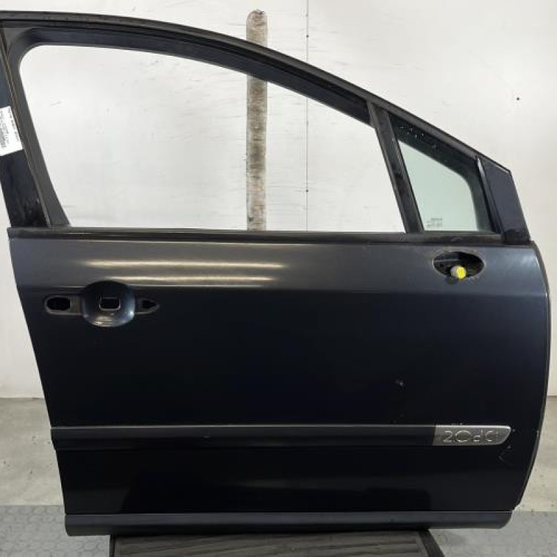 Porte avant droit RENAULT VEL SATIS Photo n°3