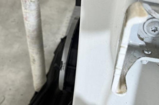 Porte arriere gauche DS DS5