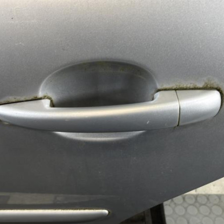 Porte arriere gauche PEUGEOT 207