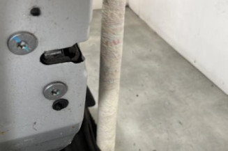 Porte arriere gauche PEUGEOT 207