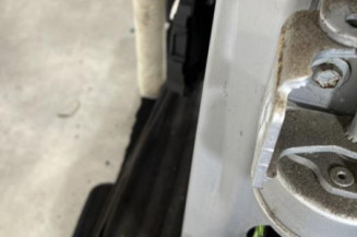 Porte arriere gauche PEUGEOT 207