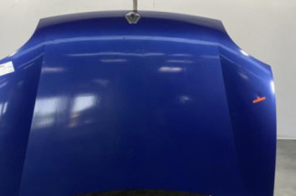 Capot RENAULT KANGOO 1 Photo n°1