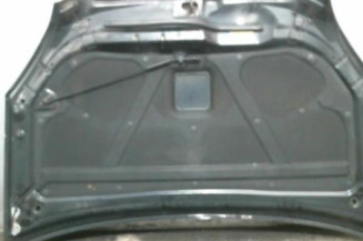 Capot KIA CARENS 3 Photo n°1